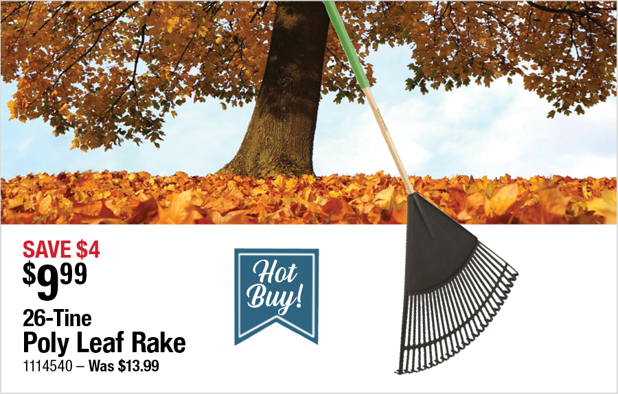 Leaf Rake